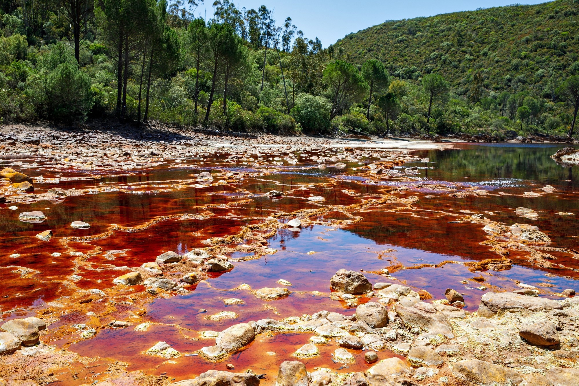 Study: Machine Learning Models Predict Arsenic Contamination. Image Credit: Irina Wilhauk/Shutterstock.com