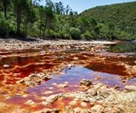 Machine Learning Models Predict Arsenic Contamination