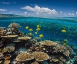 Deep Learning Advances Deep-Sea Biota Identification in the Great Barrier Reef