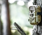 AI Camera Traps With Continual Learning Boost Real-Time Wildlife Monitoring Accuracy