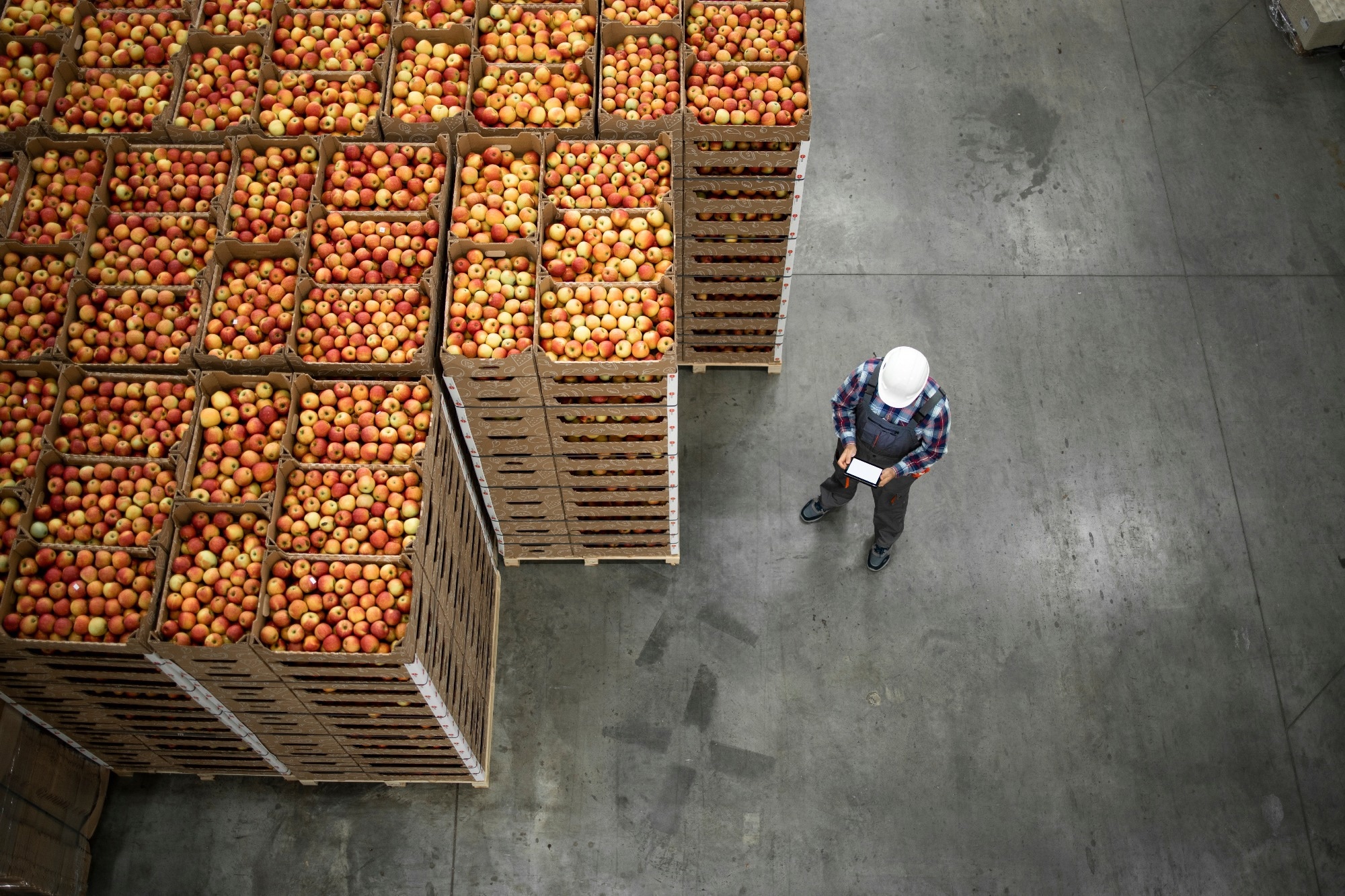Study: Artificial intelligence can regulate light and climate systems to reduce energy use in plant factories and support sustainable food production. Image Credit: Aleksandar Malivuk / Shutterstock