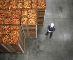 AI-Driven Systems Slash Energy Use in Plant Factories, Boosting Sustainable Food Production