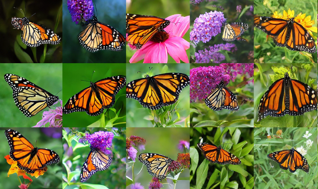 Uncurated 1-step samples generated by our sCD-XXL trained on ImageNet 512×512. Research: Simplifying, Stabilizing and Scaling Continuous-Time Consistency Models.