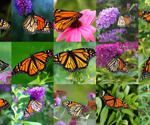 OpenAI Simplifies and Scales Continuous-Time Consistency Models for Faster AI Generation