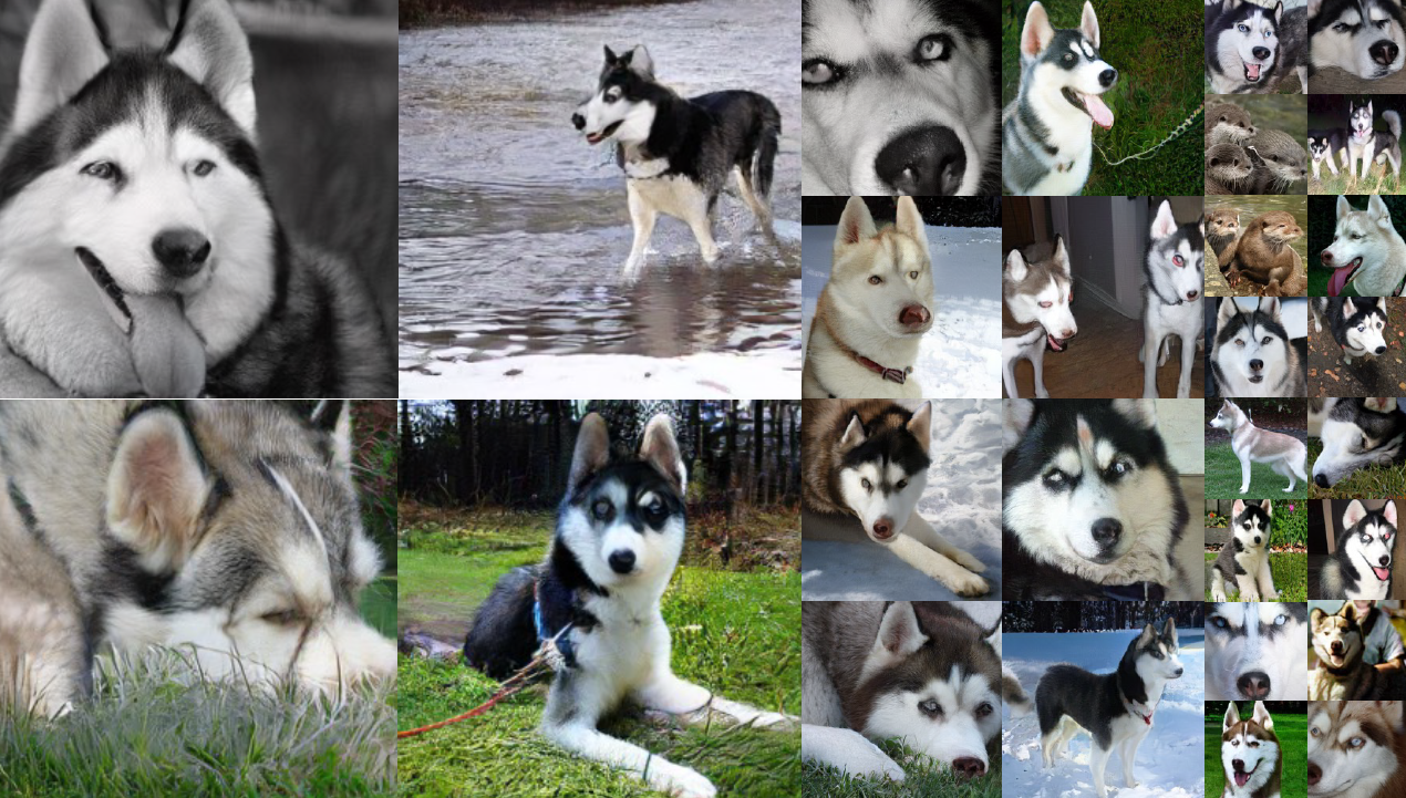 Research: Randomized Autoregressive Visual Generation