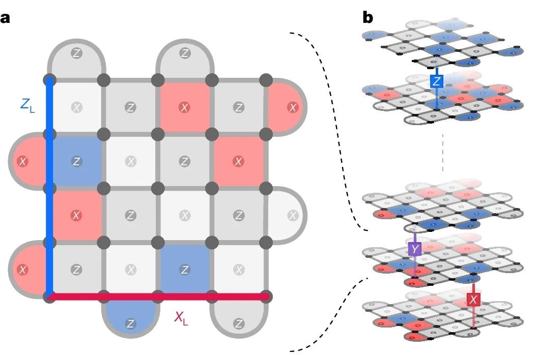 a, Data qubits (grey circles) on a d × d square lattice (here shown for code distance d = 5) are interspersed with X and Z stabilizer qubits (X and Z in circles). The logical observables XL (ZL) are defined as products of X (Z) operators along a row (column) of data qubits. b, In a memory experiment, a logical qubit is initialized, repeated stabilizer measurements are performed and then the logical qubit state is measured. During the experiment all qubits and operations are subject to errors (here symbolically shown as bit (X), phase (Z), and combined bit and phase flips (Y) acting on individual data qubits from time step to time step).