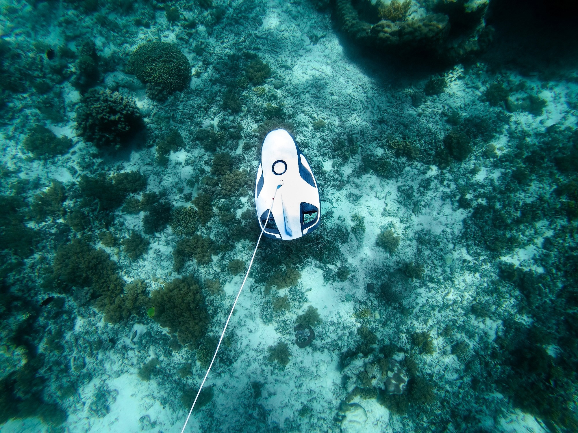 Study: Advancements in Fault-Tolerant Control for Underwater Robotics. Image credit: Kryvenok Anastasiia/Shutterstock