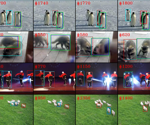 SAMURAI Enhances Object Tracking with Motion-Aware Intelligence