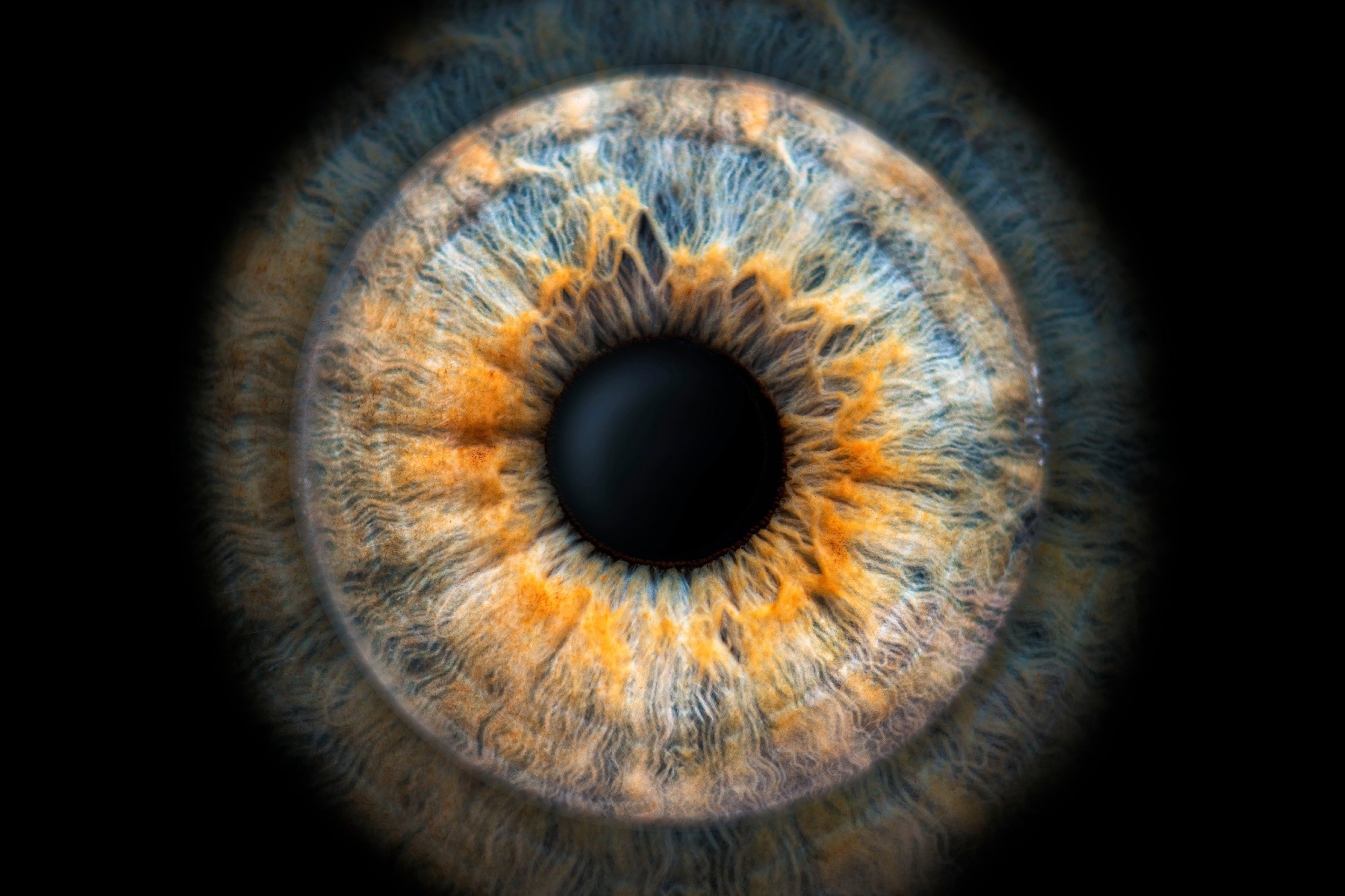 Study: AI Revolutionizes Ocular Imaging to Tackle SANS in Space Exploration. Image credit: JL. Lago /Shutterstock
