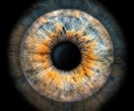 AI Revolutionizes Ocular Imaging to Tackle SANS in Space Exploration