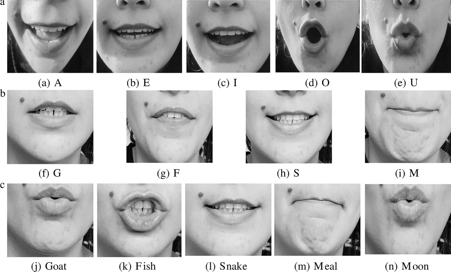 A visual illustration of the Lip-reading. (a) Vowels. (b) consonants. (c) Words. Research: Artificial intelligence enabled smart mask for speech recognition for future hearing devices