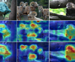 EMOv2 Sets New Benchmark in Lightweight Vision Models
