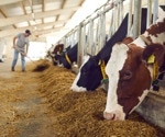 Generative AI Drives Breakthrough in Methane Reduction for Cattle