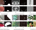 Pioneering Deep Learning Solutions for the Hardest-to-Spot Objects