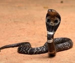 AI-Designed Proteins Revolutionize Antivenom Treatment