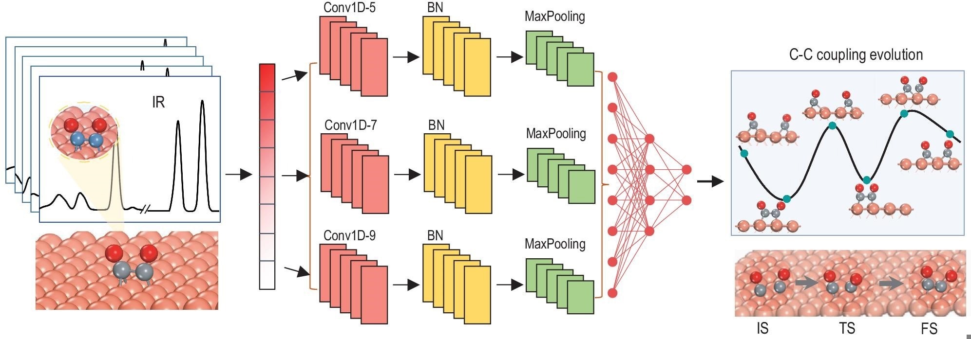 Schematic illustration of the machine learning protocol for monitoring the C–C coupling in catalytic reactions via IR spectroscopy. Brown, gray and red balls stand for Cu, C and O atoms, respectively. Conv1D-5/7/9 represent one-dimensional convolution with various sizes, BN stands for batch normali
