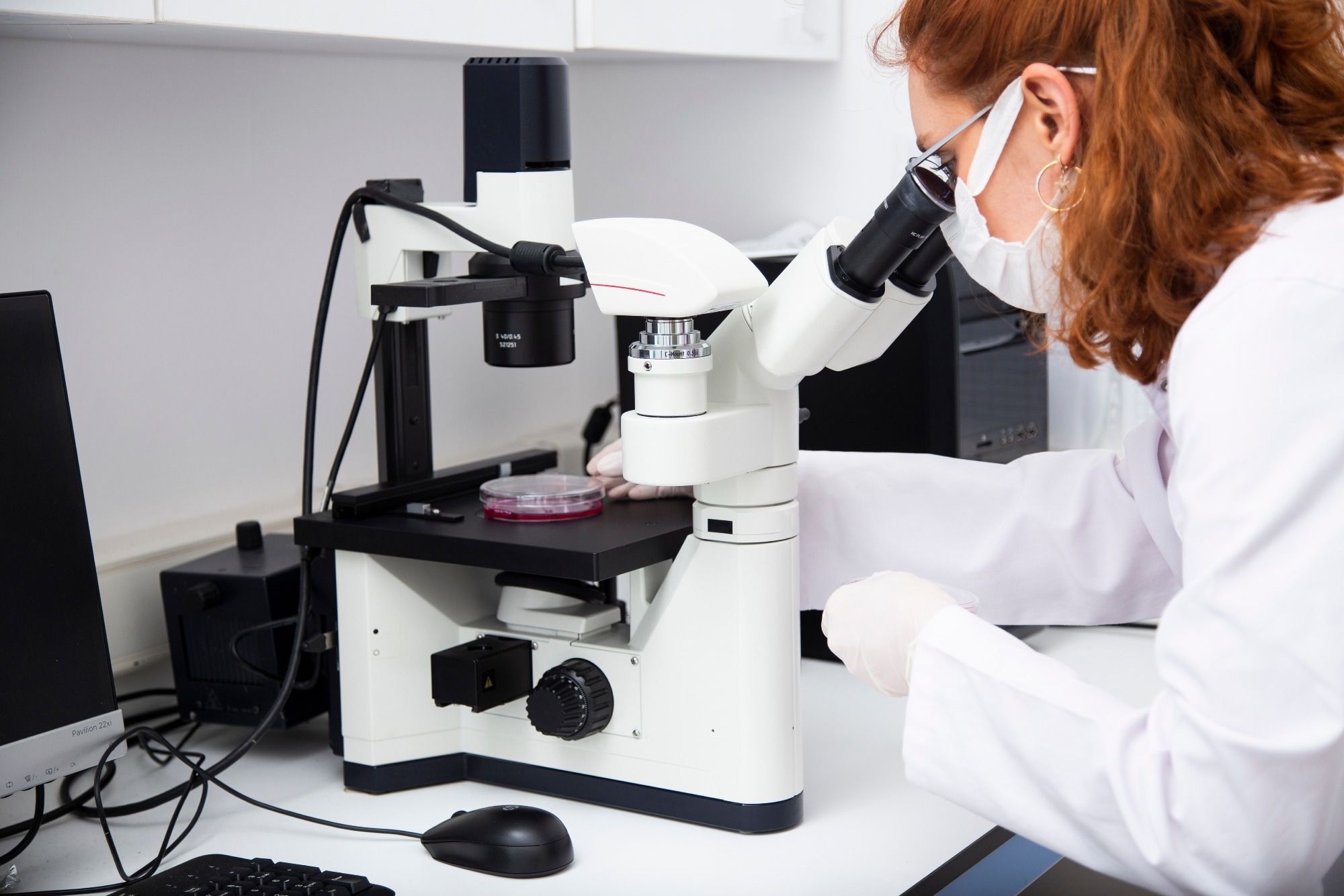 Research: Unsupervised inter-domain transformation for virtually stained high-resolution mid-infrared photoacoustic microscopy using explainable deep learning. Image Credit: murat photographer / Shutterstock
