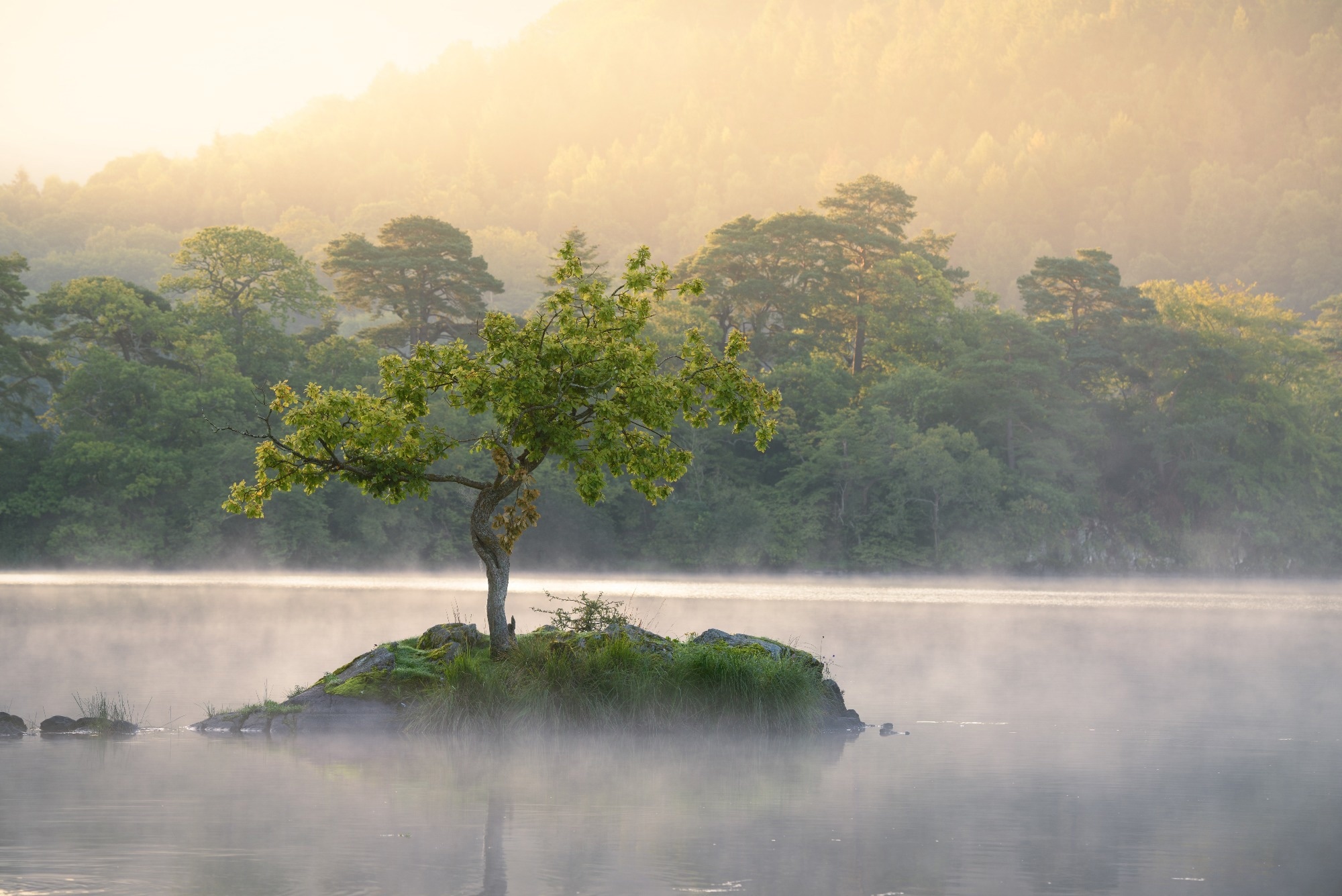Research: Unveiling Landscape-Level Drivers of Freshwater Biodiversity Dynamics. ​​​​​​​Image Credit: Daniel_Kay / Shutterstock