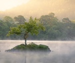 AI Traces Agricultural Chemicals’ Deadly Path Through UK Freshwater Networks