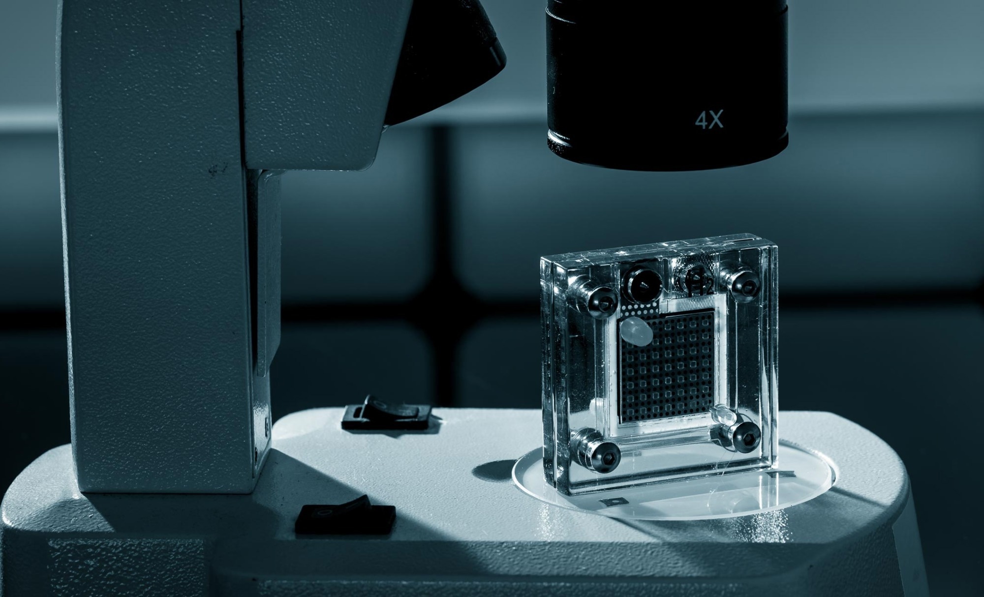 Review: Applications of artificial intelligence in materials research for fuel cells. Image Credit: luchschenF / Shutterstock
