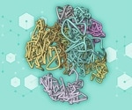 AI Predicts 3D Genome Structures in Minutes, Transforming Genetic Research