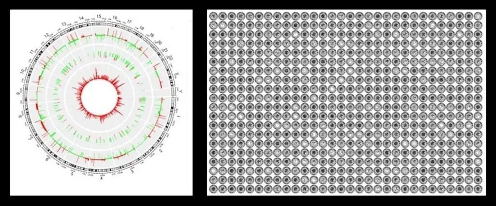 Left: A circular OmicsFootPrint visualization shows genetic and molecular changes, with chromosomes in the outer ring and gene activity changes inside — red for increased activity, green for reduced. Right: A grid of OmicsFootPrints summarizes multi-omics data for nearly 700 cancer patients, with each circle representing a unique molecular profile.