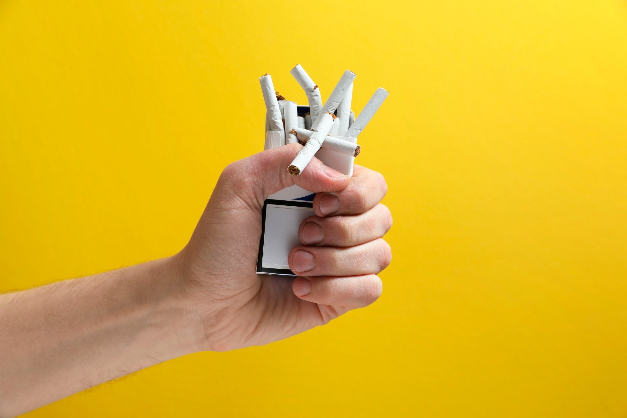 Study: Assessing the Adherence of ChatGPT Chatbots to Public Health Guidelines for Smoking Cessation: Content Analysis. Image Credit: New Africa / Shutterstock