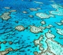 AI System Integrates Data to Help Preserve the World’s Fragile Coral Reefs