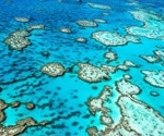 AI System Integrates Data to Help Preserve the World’s Fragile Coral Reefs