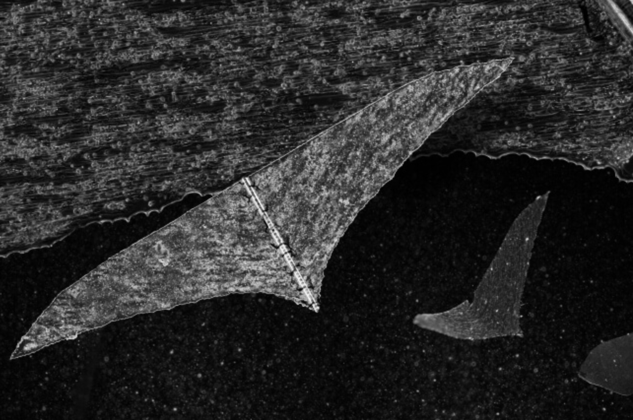 Research: Bioinspired design of a tissue-engineered ray with machine learning