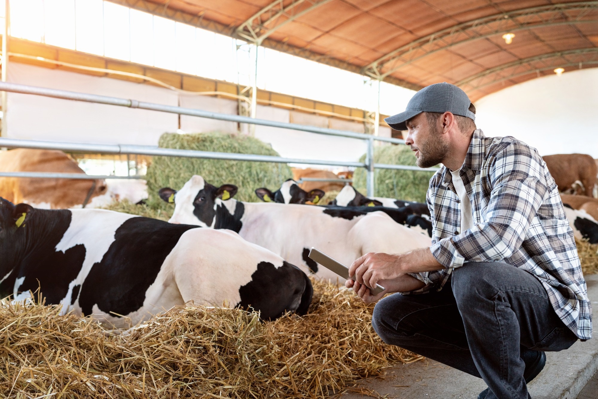 Research: AI for sustainable land management and greenhouse gas emission forecasting: advancing climate action. Image Credit: Barillo_Images / Shutterstock