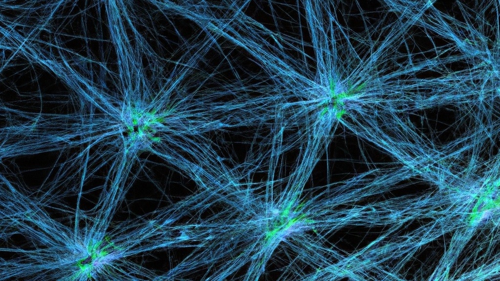 Perspective: Topology shapes dynamics of higher-order networks. Image Credit: Shutterstock AI