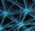 Scientists Uncover How Hidden Interactions Shape Complex Networks