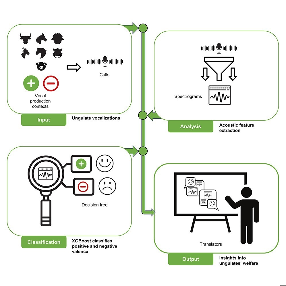 Graphical abstract