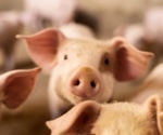 AI Cracks the Code of Animal Emotions, Paving the Way for Real-Time Welfare Monitoring