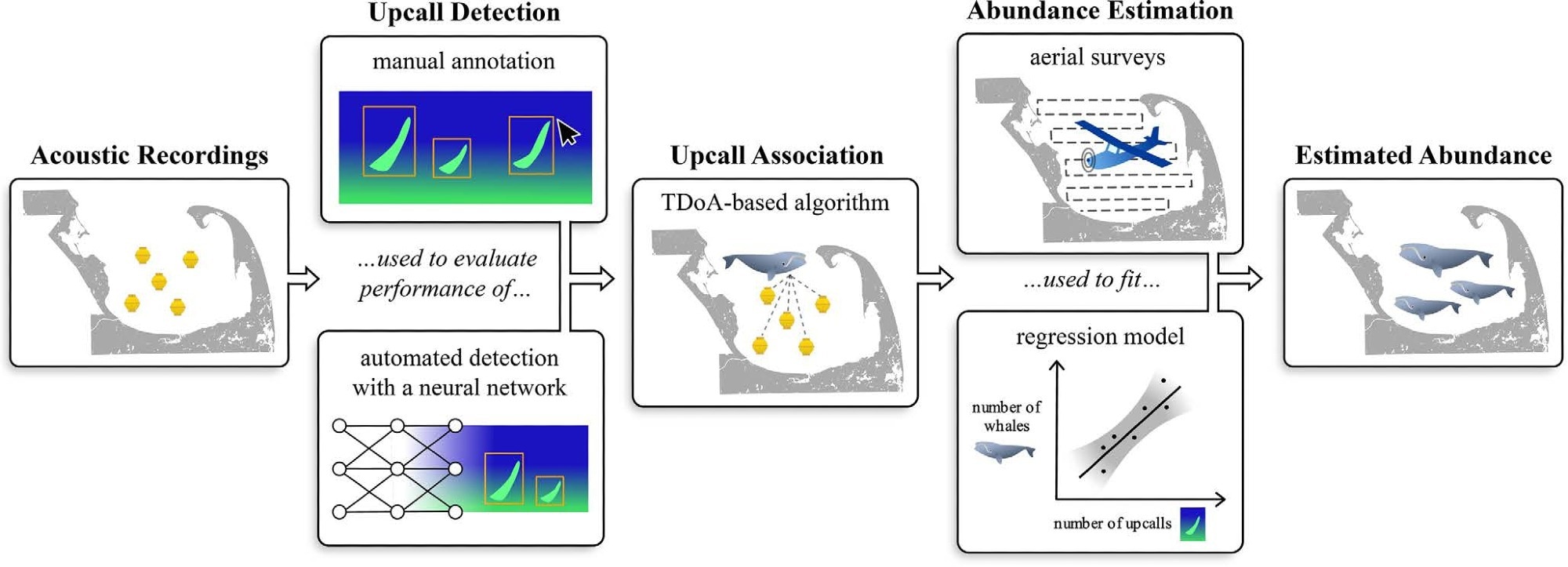 The analysis pipeline consisted of a series of modular components. First, a trained analyst manually annotated upcalls in a subset of the recordings across 5 marine autonomous recording units (MARUs). The annotations were then used to evaluate the performance of an automated upcall detection and classification system. Next, the detections were associated across units through an automated time-difference-of-arrival (TDoA) procedure. Finally, the number of distinct upcalls was combined with visual observations from aerial surveys to fit a quasi-Poisson model and predict daily NARW abundance throughout the acoustic survey