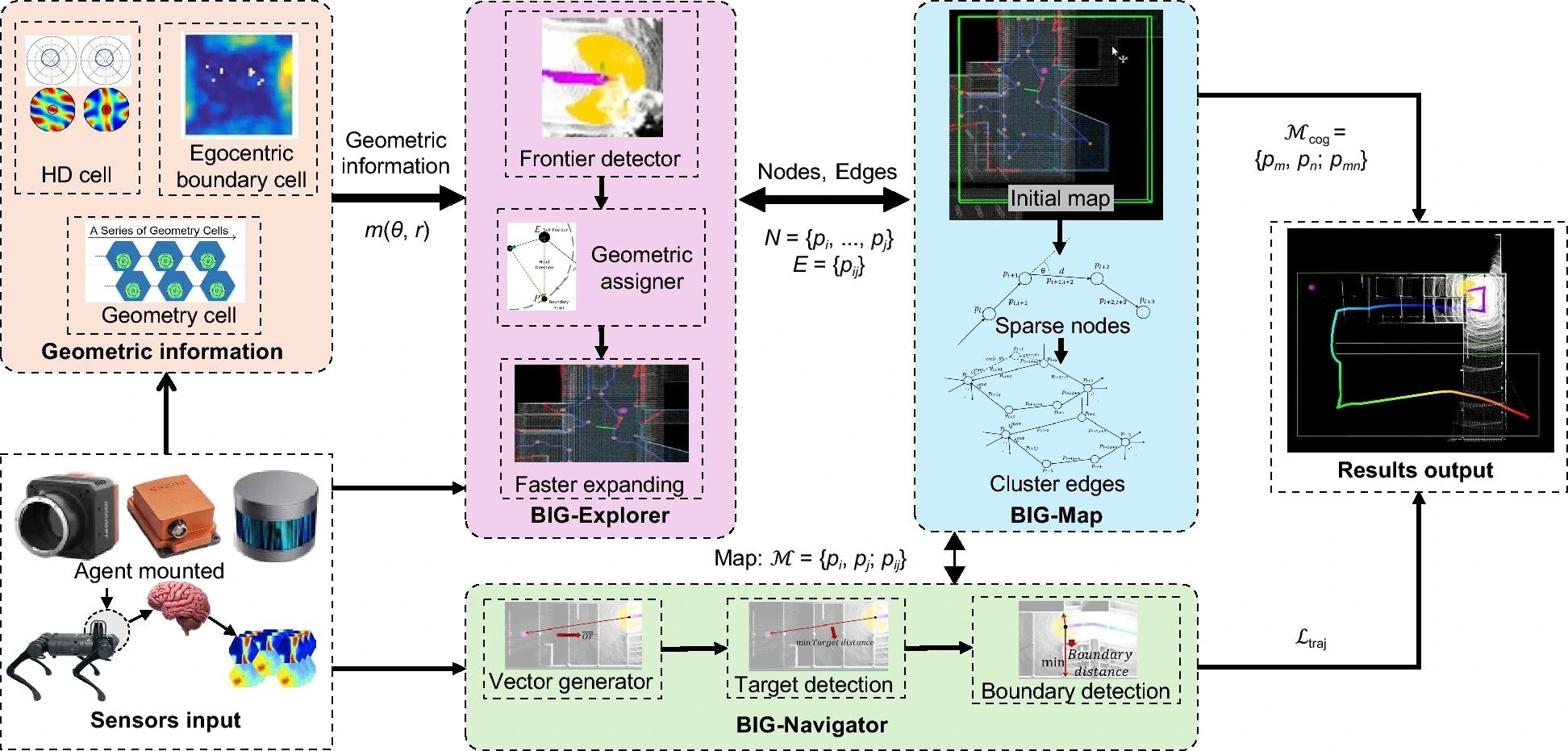 The architecture of BIG proposed for brain-inspired exploration and navigation integrating the geometry cell. The architecture of BIG of in this paper consists of four modules including the geometric information, BIG-Explorer, BIG-Navigator, and BIG-Map as shown in this figure. The four modules drive agents to finish tasks of autonomous exploration and navigation. The geometry cell model participates in the exploration process of the agent by mirroring the navigation mechanism of mammals. The agent leverages biological features to explore environments as fast as possible, which is proposed as the Faster-Expanding algorithm. The agent explores its surroundings to make sense of the structure of the environment and ultimately form experience maps used for target-navigation. The process of constructing experience maps requires the optimization assigner module.
