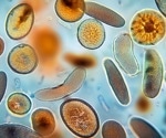 AI-Driven Microscopy Revolutionizes Scientific Imaging with Precision and Speed