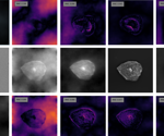 AI-Powered Microscopy Turns Optical Flaw into High-Quality Imaging Breakthrough