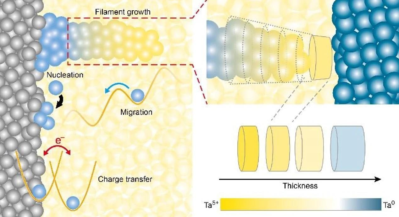 Illustration of the underlying electrochemical redox processes, energy diagram for memristive switching. The various lengths and oxidation states of the conduction channel which can be achieved by the electrical programming enable the multi-bit switching capability.