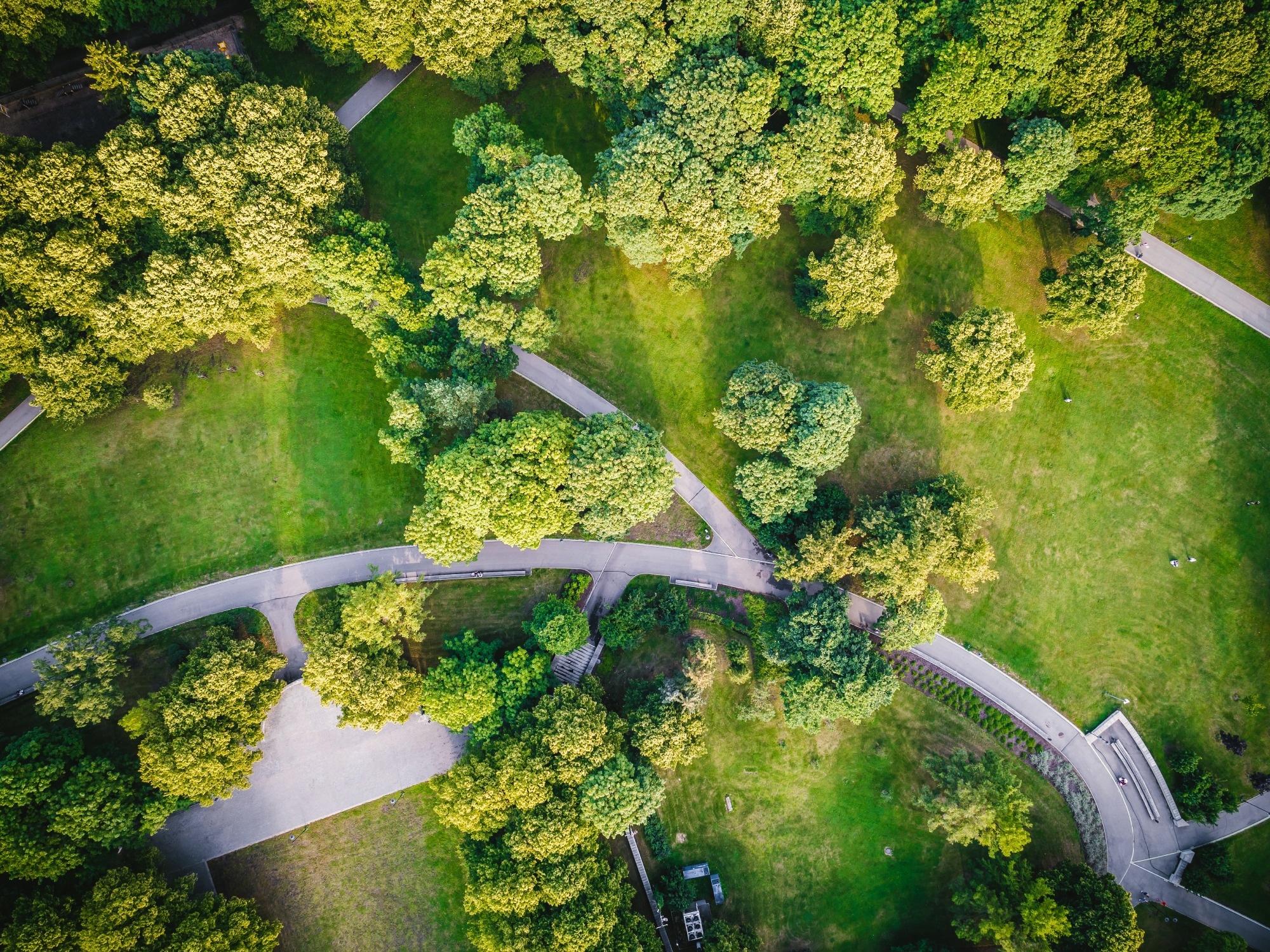 Research: Plant Doctor: A hybrid machine learning and image segmentation software to quantify plant damage in video footage. Image Credit: Aleksandrs Muiznieks / Shutterstock