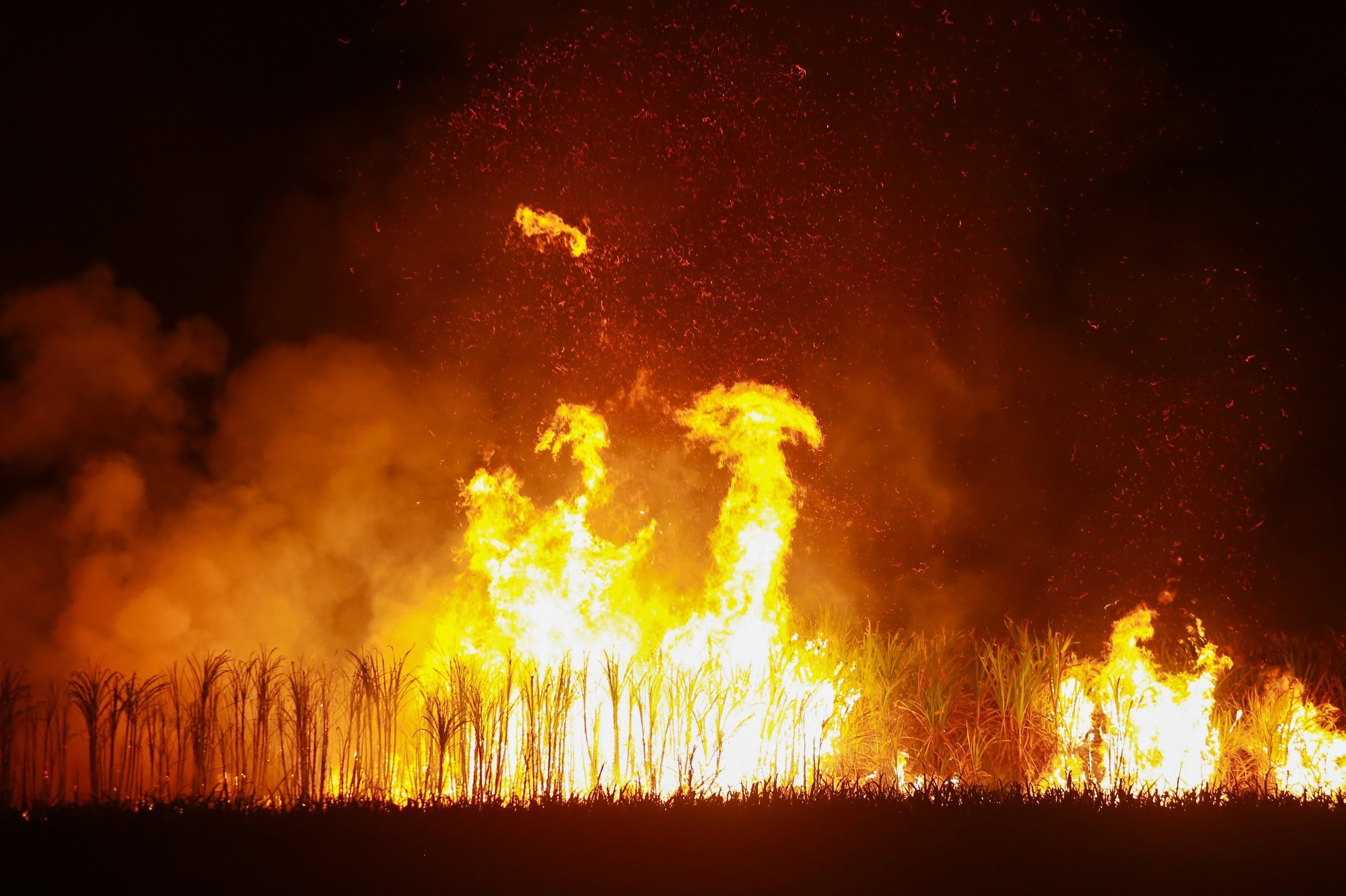 Research: Global lightning-ignited wildfires prediction and climate change projections based on explainable machine learning models. Image Credit: Tinny Photo / Shutterstock