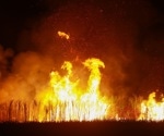 AI Model Predicts Lightning Wildfires With 90% Accuracy, Transforming Global Fire Response