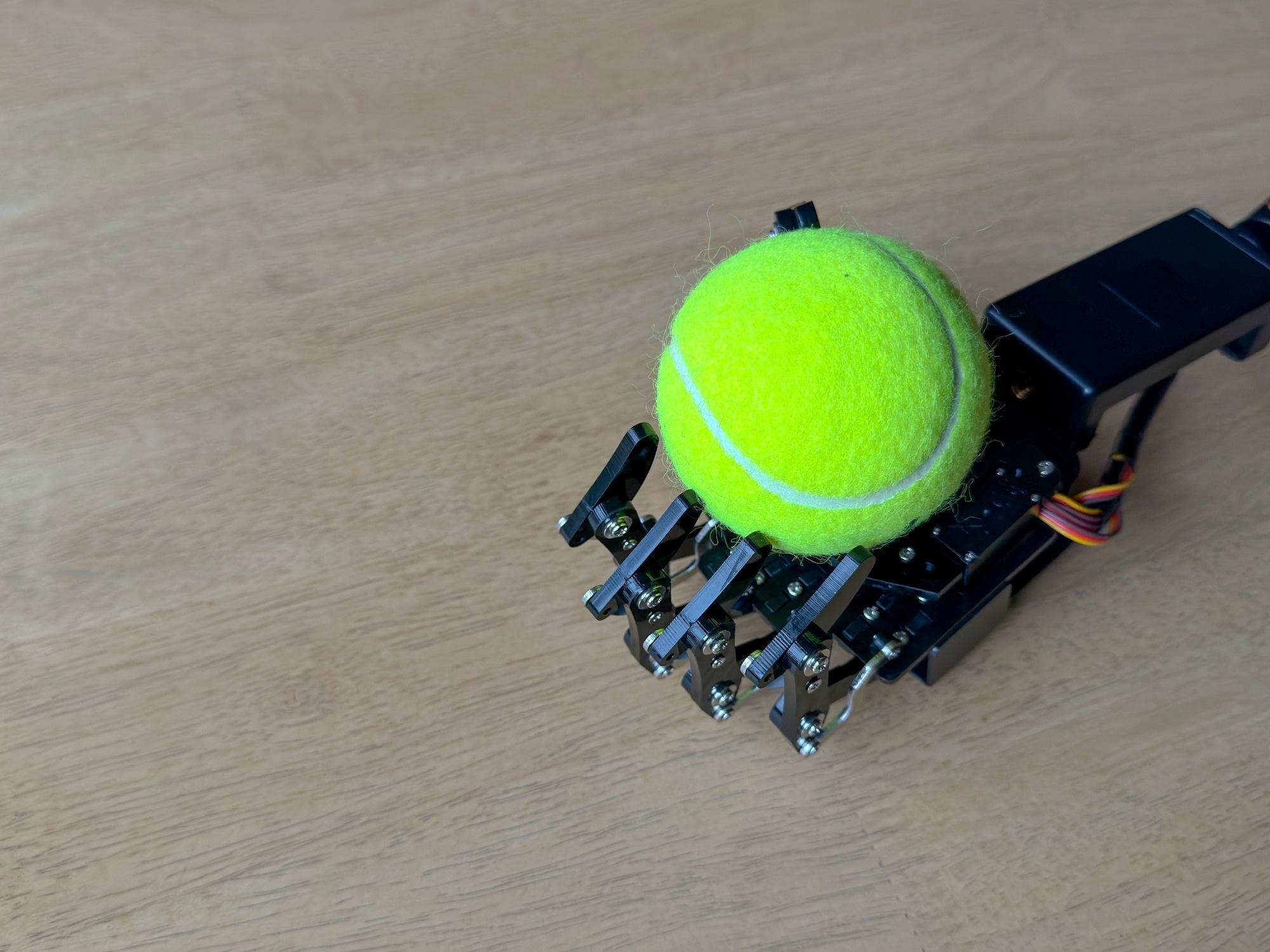 Research: Curriculum is more influential than haptic feedback when learning object manipulation. Image Credit: JQ SNAPS / Shutterstock
