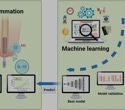 AI Reveals How Titanium Surfaces Steer Immune Responses in Implant Design