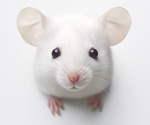 Digital Twin of Mouse Brain Predicts Neuron Activity and Connections With Striking Accuracy