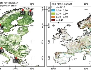 AI-Powered Canopy Maps Revolutionize Wildfire Prediction Across Europe
