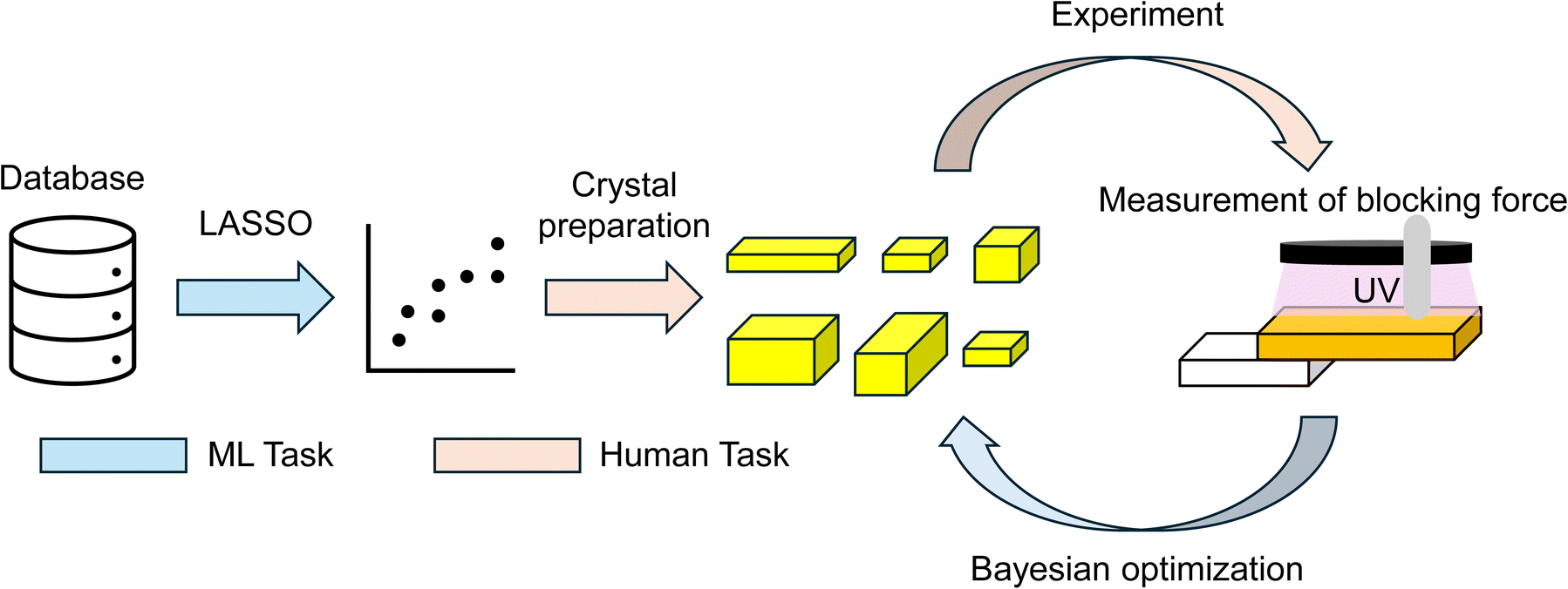 Workflow of this research. Machine learning (ML) was used to find the relationship between Young