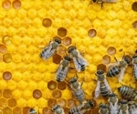 AI System Reveals How Tiny Doses of Pesticides Disrupt Entire Honeybee Colonies