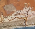 AI-Powered Model Accurately Predicts Gully Erosion and Reveals Key Risk Factors
